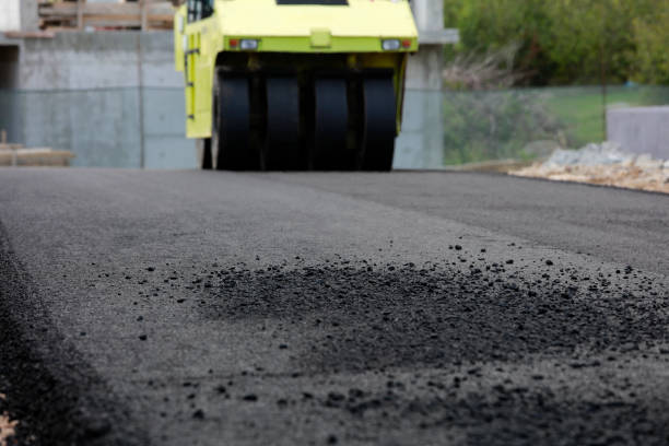 Best Driveway Repair Near Me  in Sheridan, IL