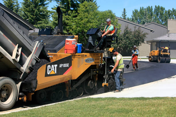 Best Custom Driveway Pavers  in Sheridan, IL
